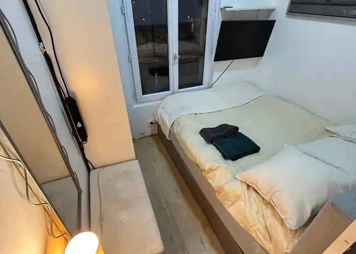 Des Tulipes In Apartamento Paris