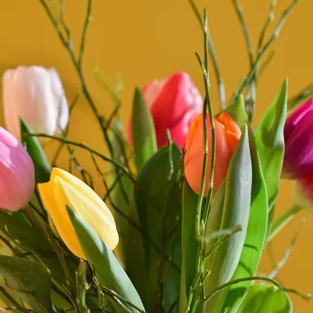 Apartment Des Tulipes In Paris