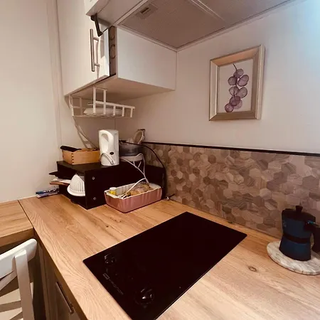 Des Tulipes In Апартаменты Париж