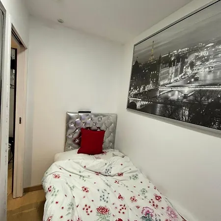 Des Tulipes In * Париж