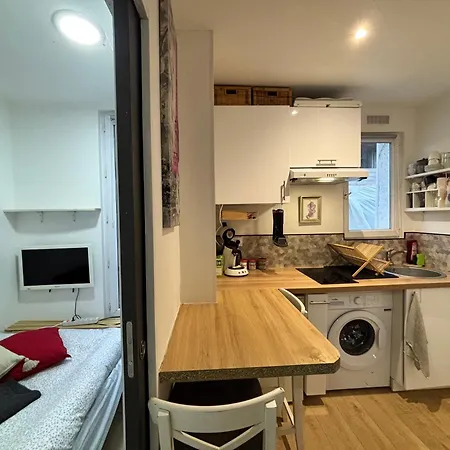 Des Tulipes In * 巴黎