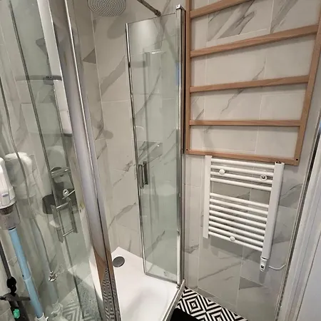 Des Tulipes In * 巴黎