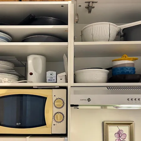 公寓 Des Tulipes In