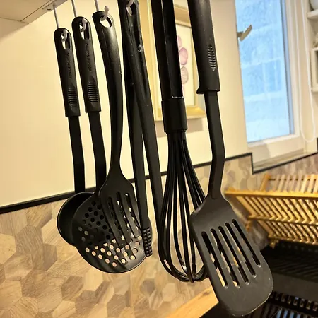 Des Tulipes In 巴黎