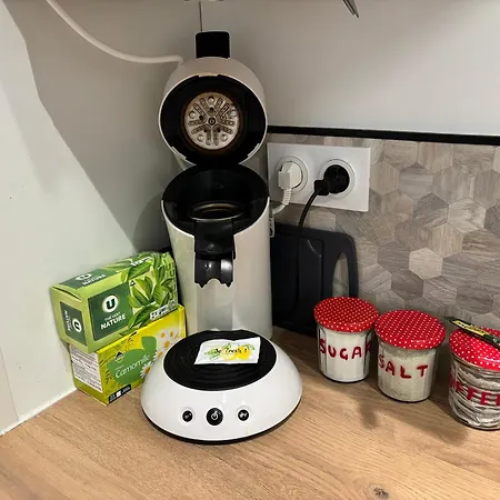 Des Tulipes In 公寓 巴黎