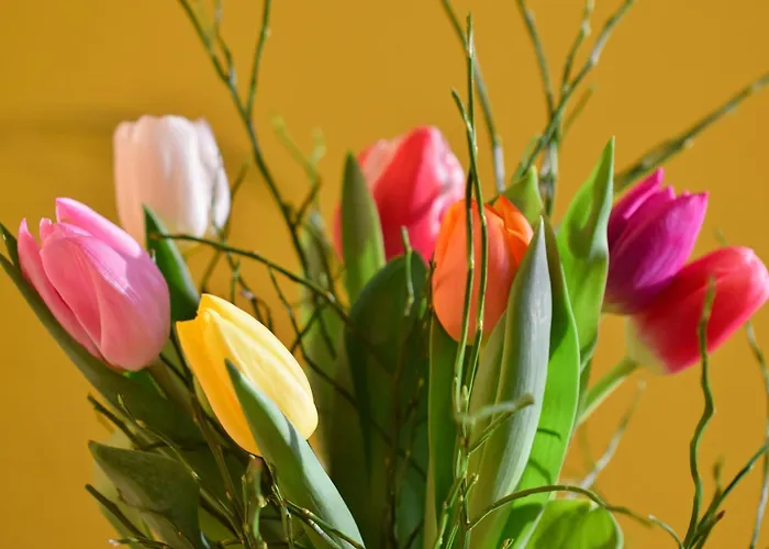 Appartamento Des Tulipes In Parigi