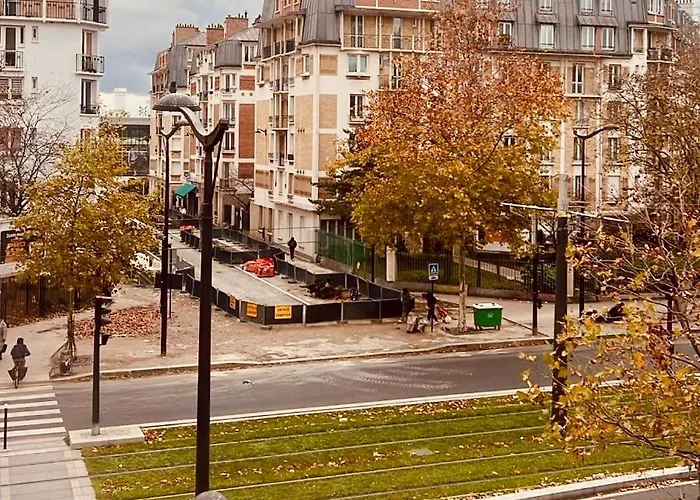 Des Tulipes In Parigi
