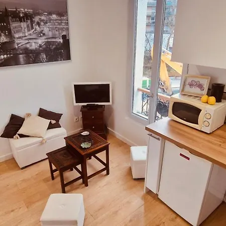 Des Tulipes In Paryż