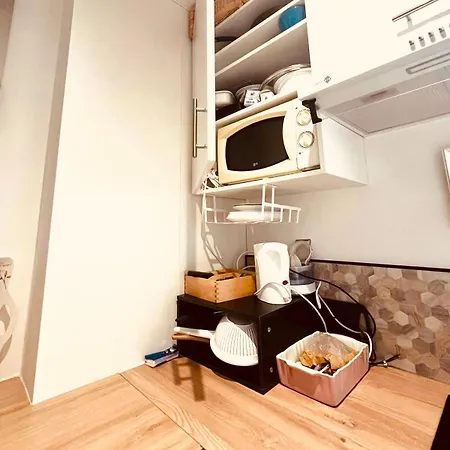 Des Tulipes In Apartament